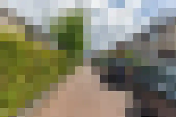 Ganzekant 13 Heerjansdam thumbnail 44