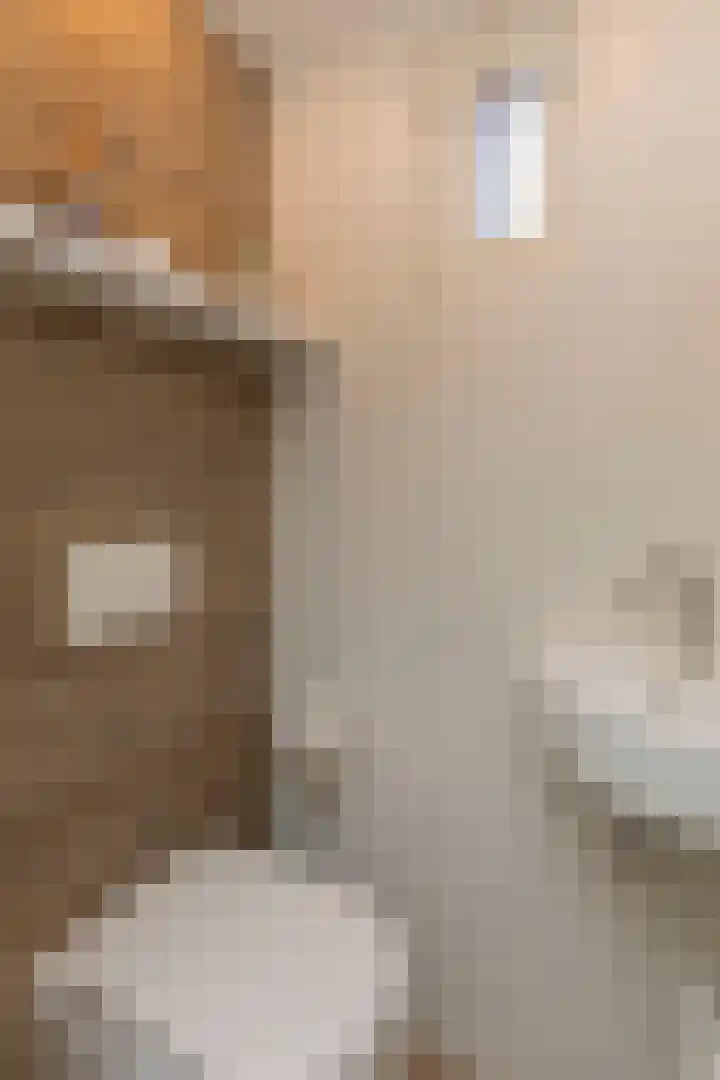 Ganzekant 13 Heerjansdam thumbnail 5