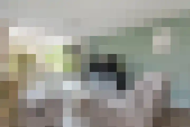 Ganzekant 13 Heerjansdam thumbnail 6