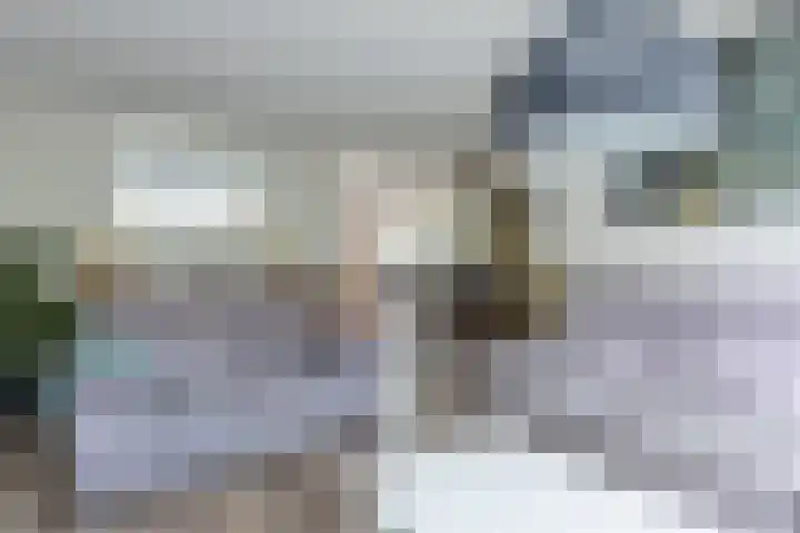 Ganzekant 13 Heerjansdam thumbnail 7