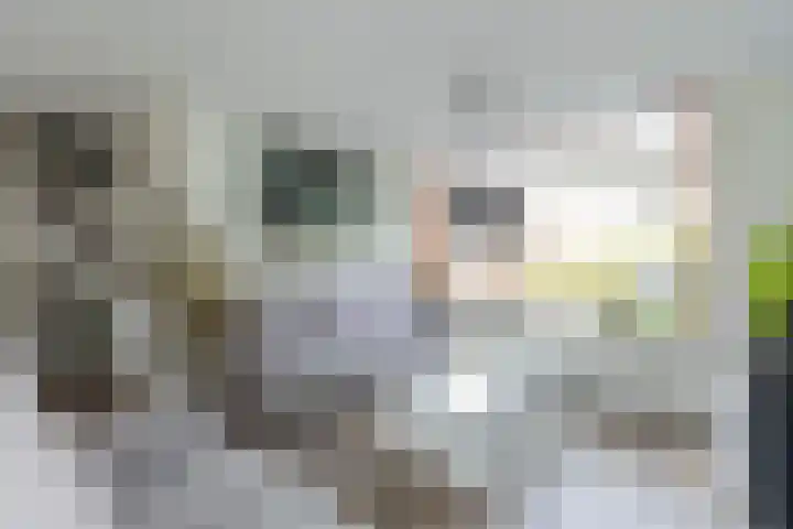 Ganzekant 13 Heerjansdam thumbnail 8