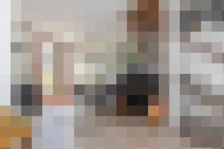 Ganzekant 13 Heerjansdam thumbnail 9