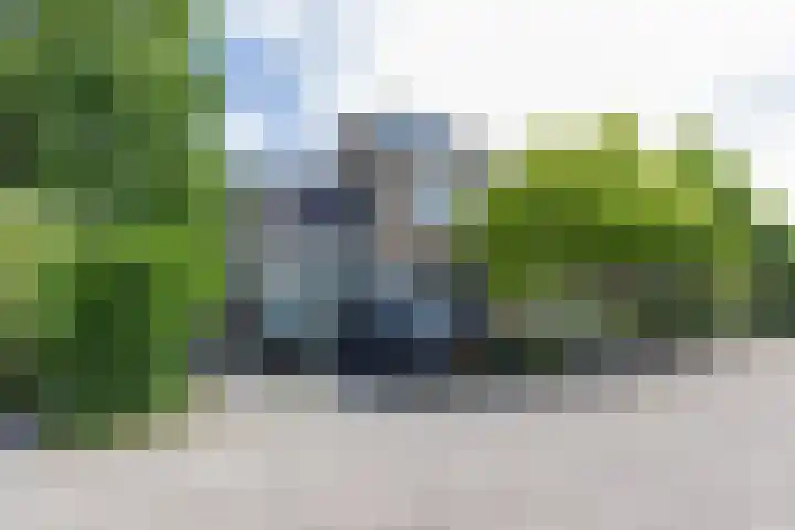 Ganzekant 26 en Heerjansdam