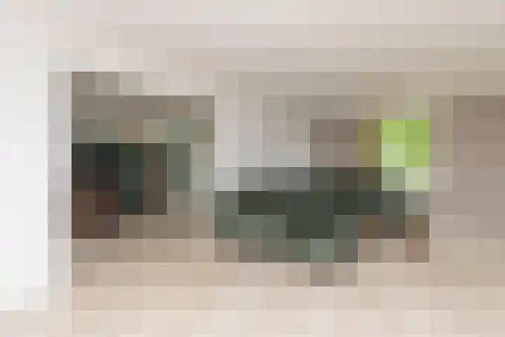 Ganzekant 26 Heerjansdam thumbnail 10