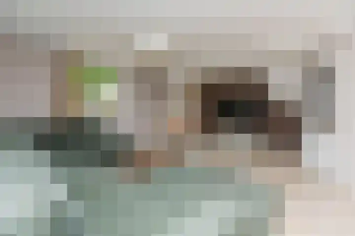 Ganzekant 26 Heerjansdam thumbnail 11