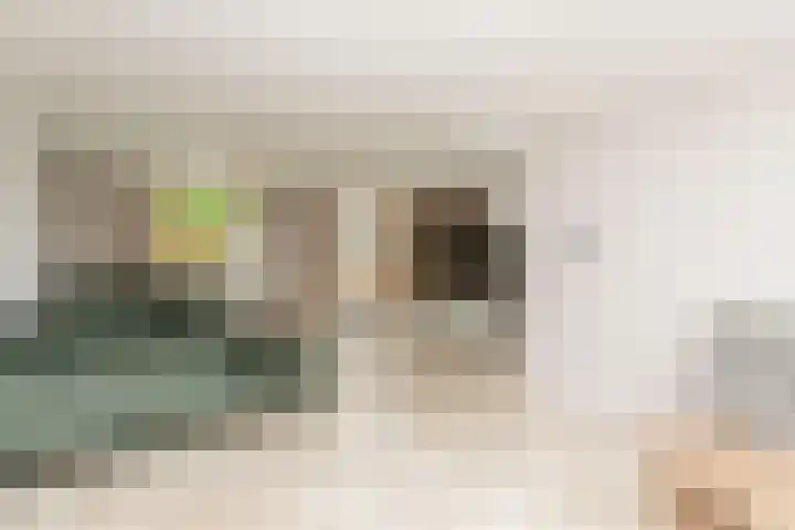 Ganzekant 26 Heerjansdam thumbnail 12