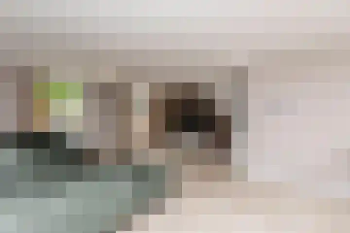 Ganzekant 26 Heerjansdam thumbnail 15