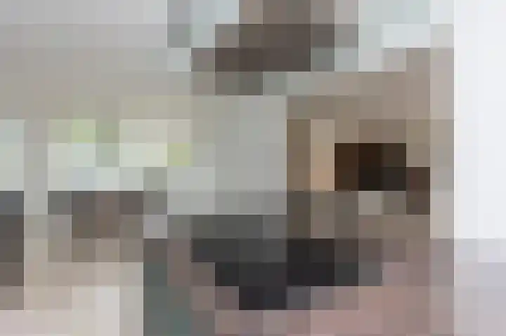 Ganzekant 26 Heerjansdam thumbnail 16