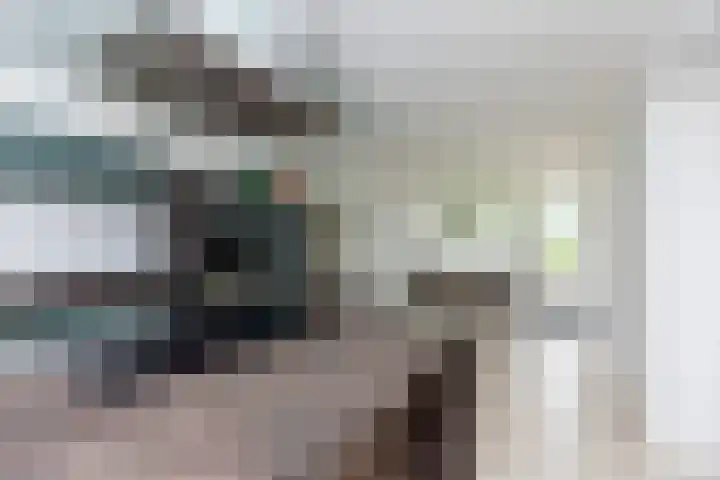 Ganzekant 26 Heerjansdam thumbnail 17