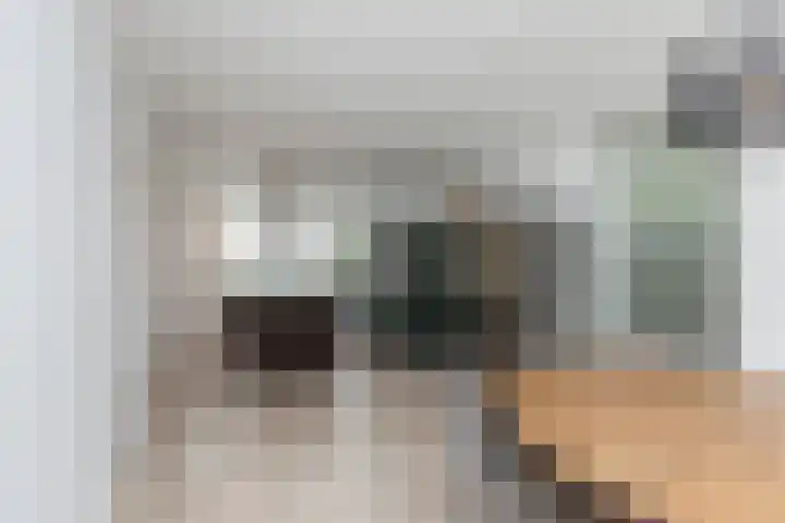 Ganzekant 26 Heerjansdam thumbnail 18