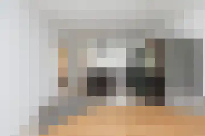 Ganzekant 26 Heerjansdam thumbnail 19