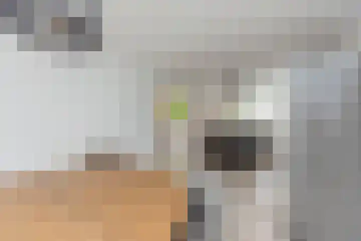 Ganzekant 26 Heerjansdam thumbnail 21
