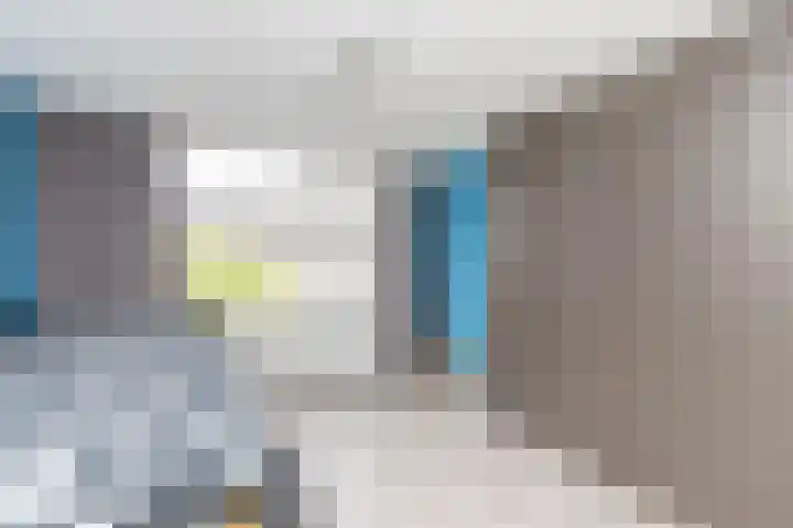 Ganzekant 26 Heerjansdam thumbnail 23