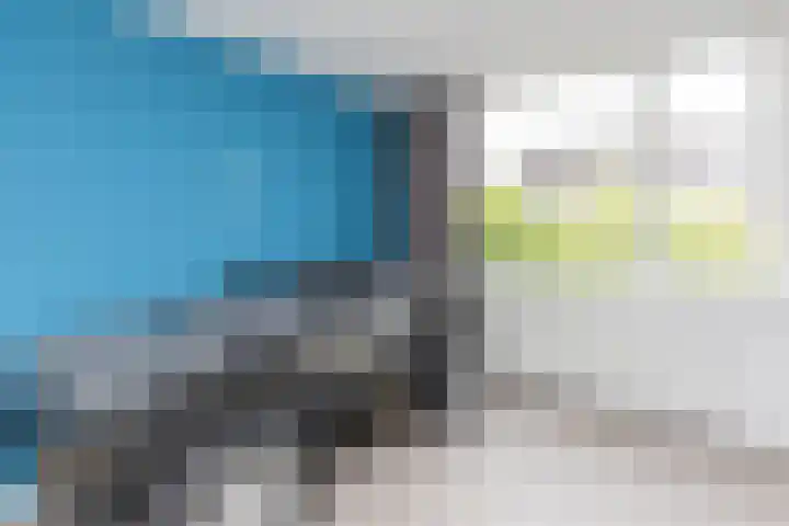 Ganzekant 26 Heerjansdam thumbnail 25