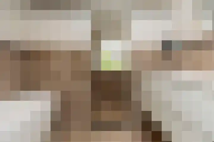 Ganzekant 26 Heerjansdam thumbnail 27