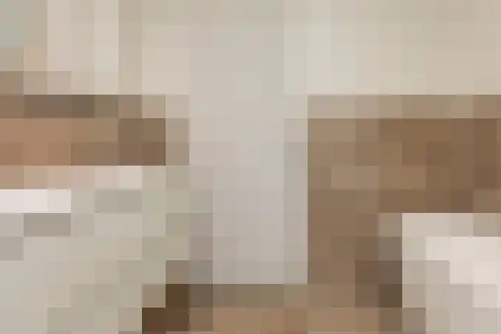 Ganzekant 26 Heerjansdam thumbnail 28