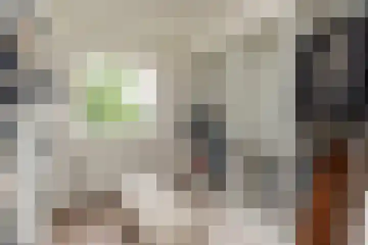 Ganzekant 26 Heerjansdam thumbnail 30
