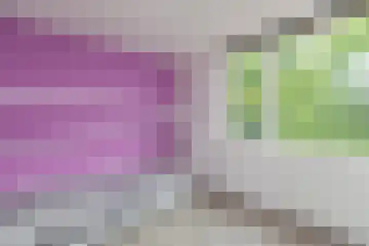 Ganzekant 26 Heerjansdam thumbnail 33