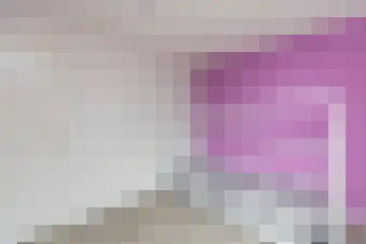 Ganzekant 26 Heerjansdam thumbnail 34