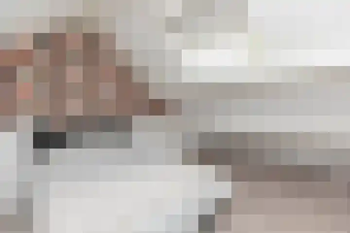Ganzekant 26 Heerjansdam thumbnail 38