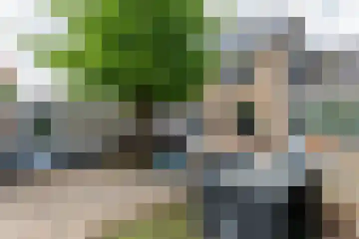 Ganzekant 26 Heerjansdam thumbnail 4
