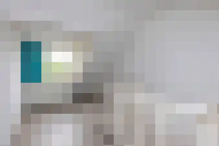 Ganzekant 26 Heerjansdam thumbnail 41
