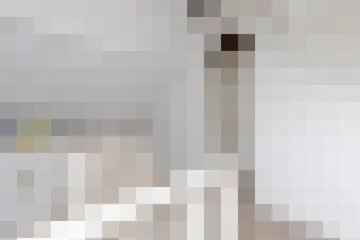 Ganzekant 26 Heerjansdam thumbnail 42