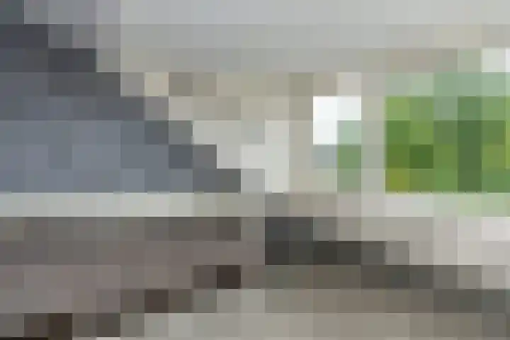 Ganzekant 26 Heerjansdam thumbnail 43