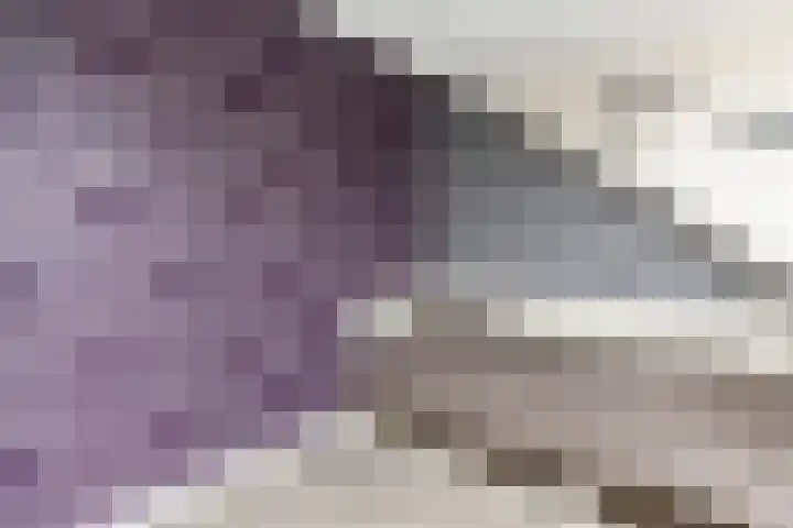 Ganzekant 26 Heerjansdam thumbnail 45