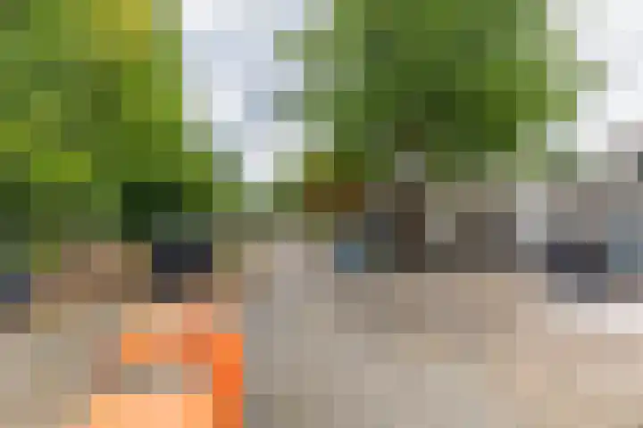 Ganzekant 26 Heerjansdam thumbnail 49