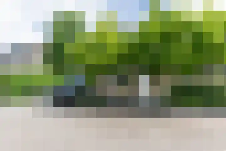 Ganzekant 26 Heerjansdam thumbnail 5