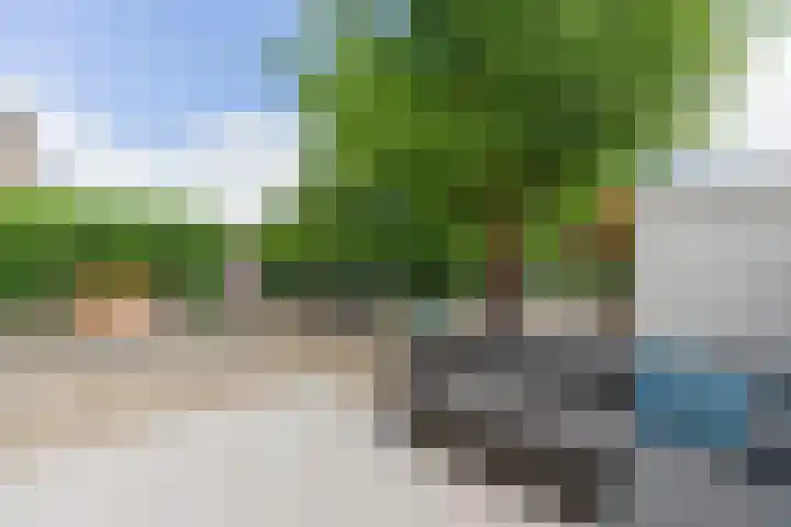 Ganzekant 26 Heerjansdam thumbnail 51