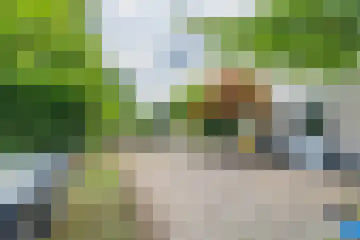 Ganzekant 26 Heerjansdam thumbnail 52