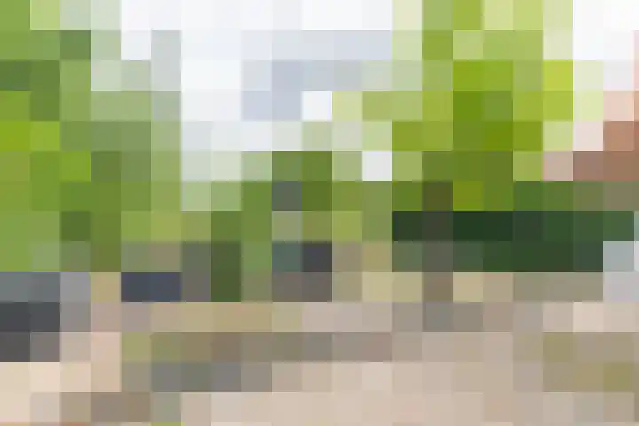 Ganzekant 26 Heerjansdam thumbnail 53