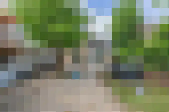 Ganzekant 26 Heerjansdam thumbnail 54