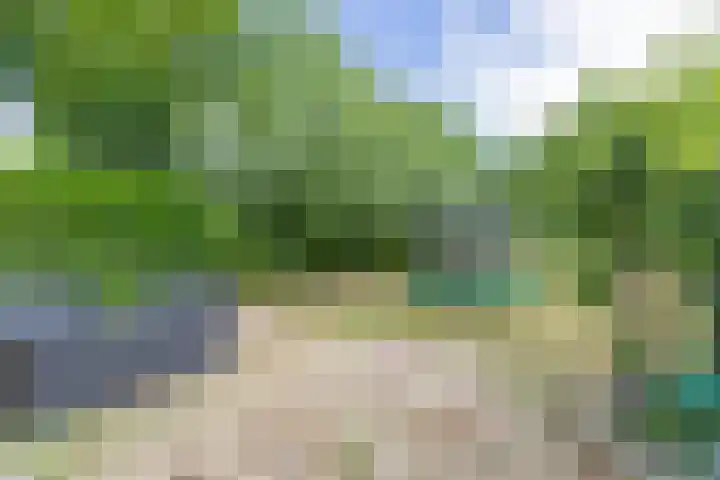 Ganzekant 26 Heerjansdam thumbnail 55