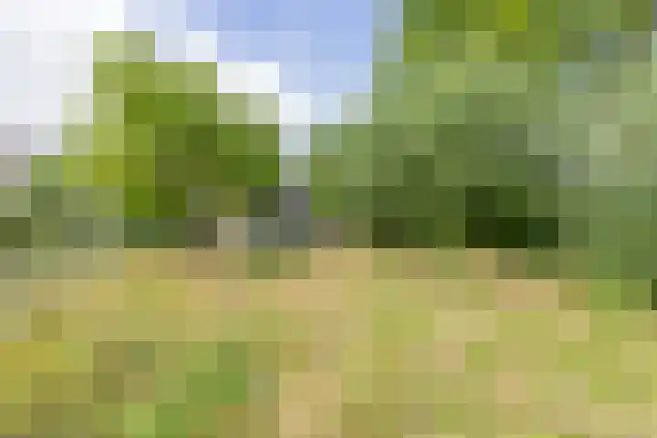 Ganzekant 26 Heerjansdam thumbnail 56
