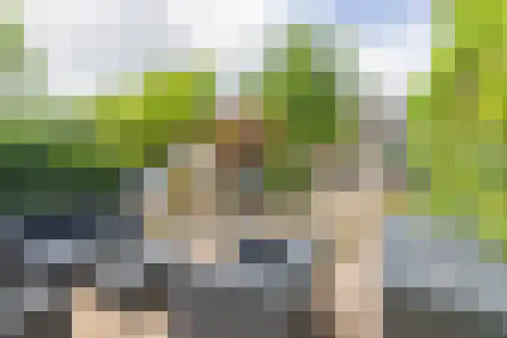 Ganzekant 26 Heerjansdam thumbnail 57