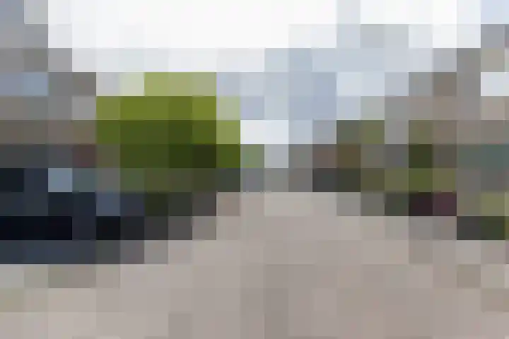 Ganzekant 26 Heerjansdam thumbnail 58