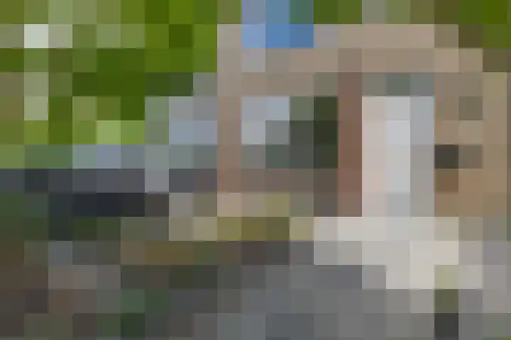 Ganzekant 26 Heerjansdam thumbnail 6