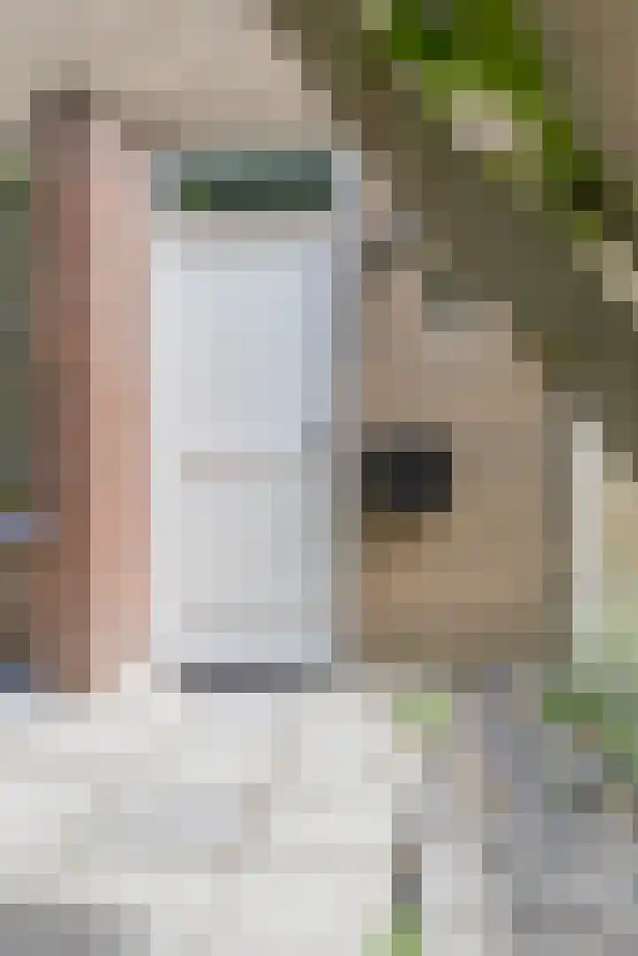 Ganzekant 26 Heerjansdam thumbnail 7