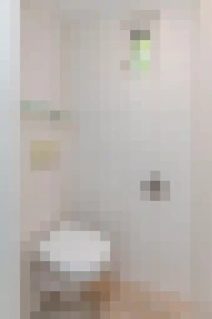 Ganzekant 26 Heerjansdam thumbnail 8