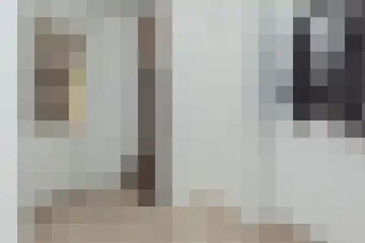 Ganzekant 26 Heerjansdam thumbnail 9