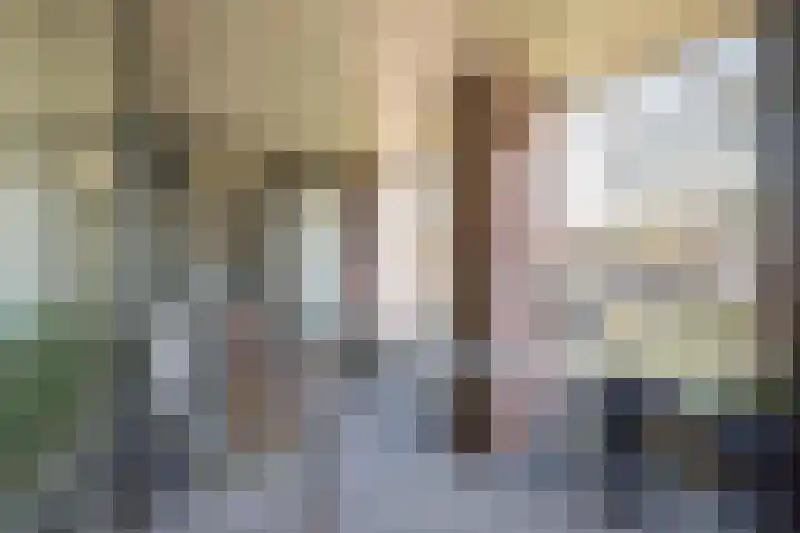 Ganzenbeekstraat 6 Voorthuizen thumbnail 12