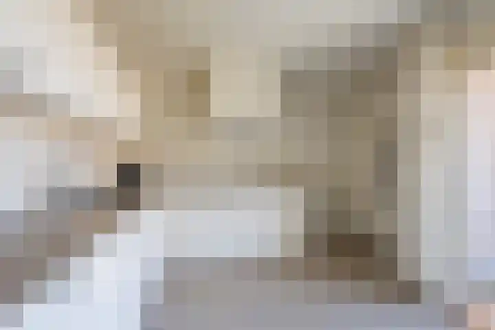 Ganzenbeekstraat 6 Voorthuizen thumbnail 15