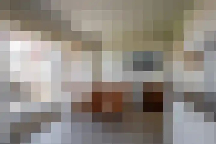 Ganzenbeekstraat 6 Voorthuizen thumbnail 16