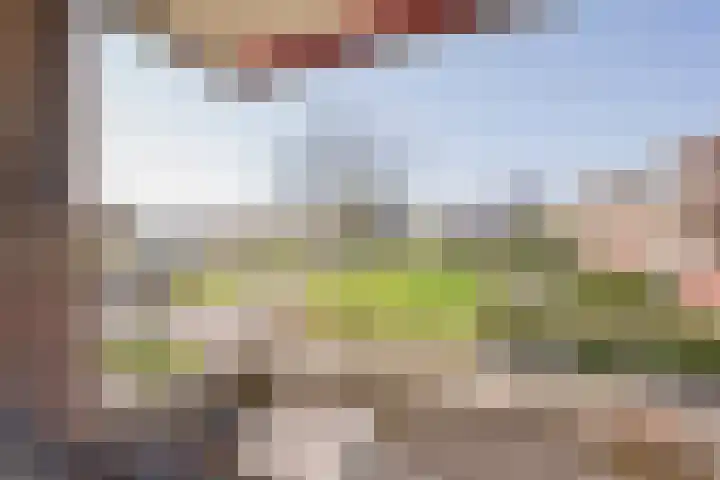 Ganzenbeekstraat 6 Voorthuizen thumbnail 18