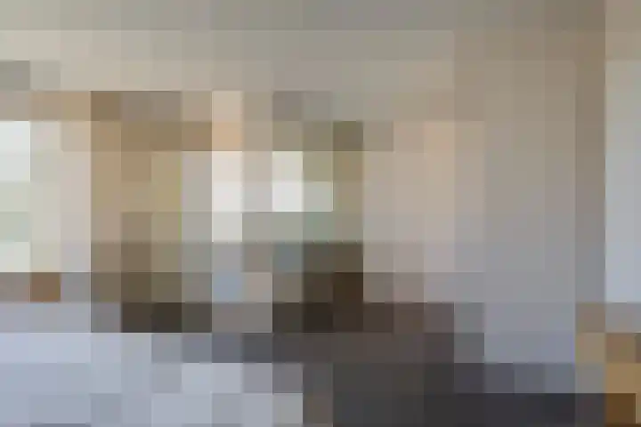 Ganzenbeekstraat 6 Voorthuizen thumbnail 21