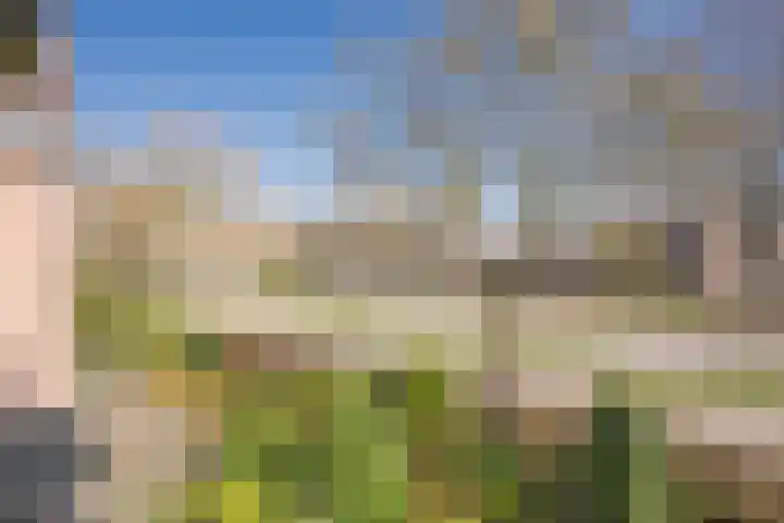 Ganzenbeekstraat 6 Voorthuizen thumbnail 4