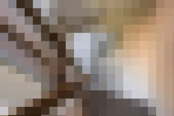 Ganzenbeekstraat 6 Voorthuizen thumbnail 7